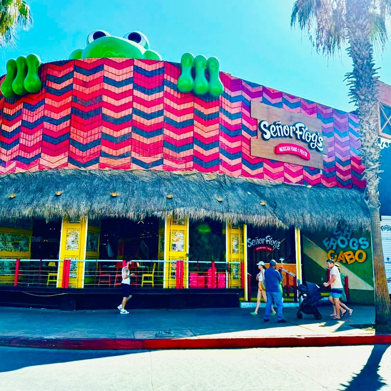 Señor Frog's Los Cabos: Frog's Pass - Photo 1 of 12