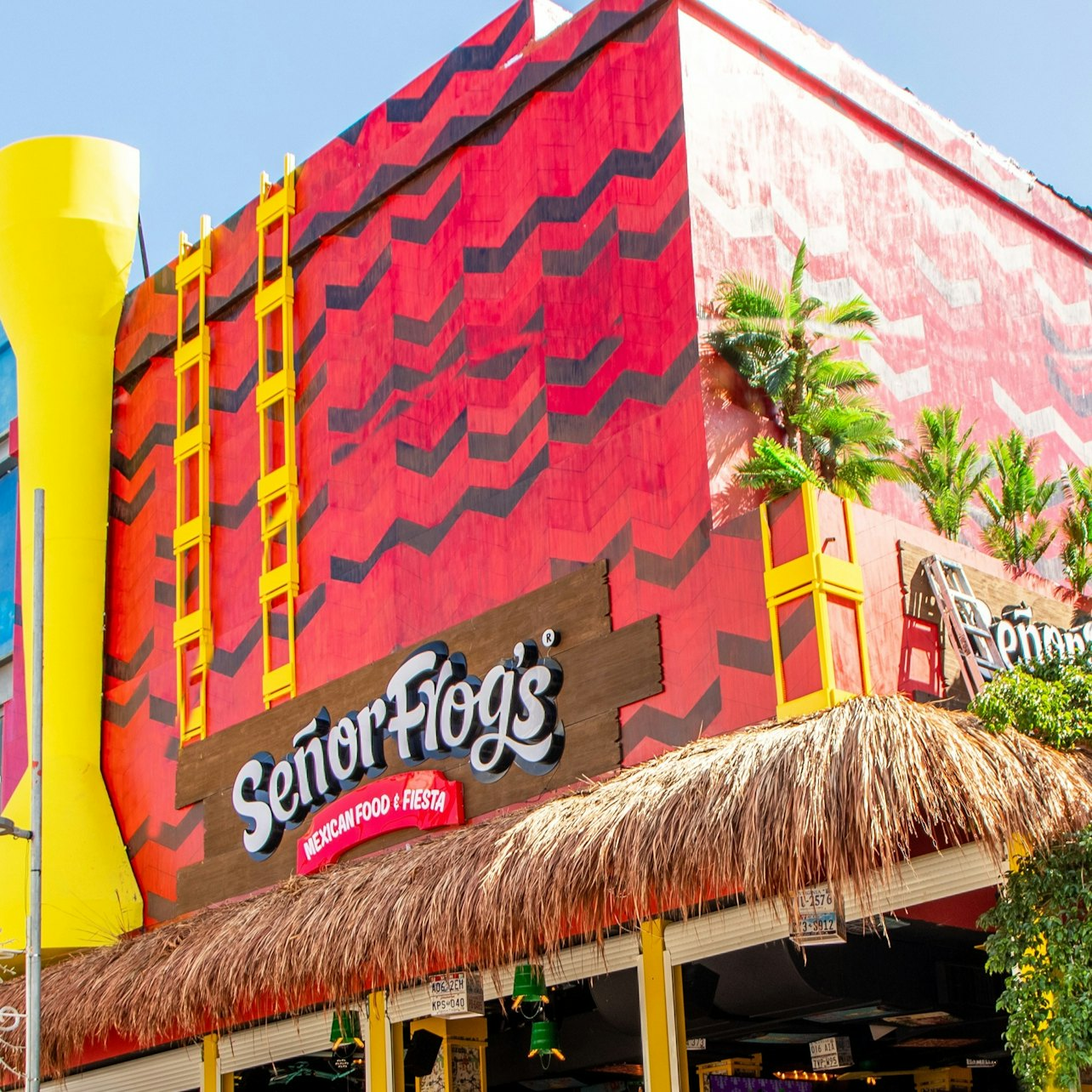 Señor Frog's Playa del Carmen: Frog's Pass - Photo 1 of 9