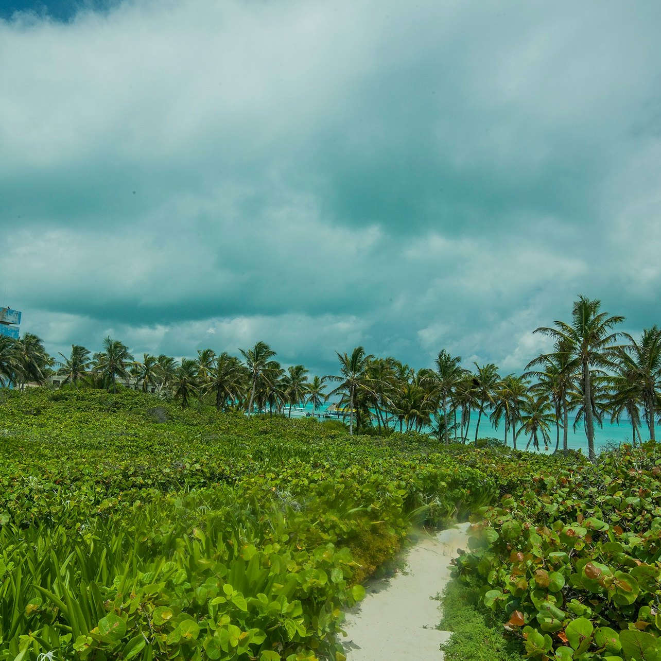 Isla Contoy & Isla Mujeres: Boat and Snorkel Tour from Cancún - Photo 1 of 10