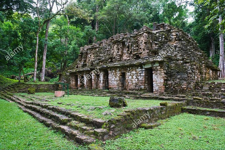 From Palenque to Bonampak - Yaxchilan Selva 1 day - Photo 1 of 6