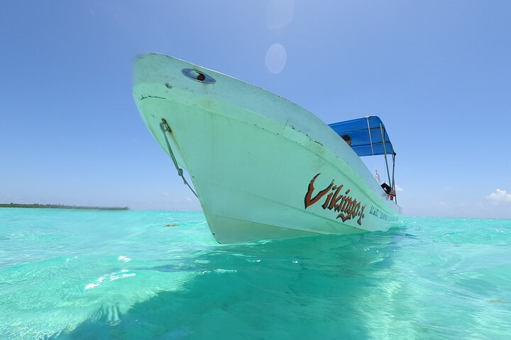 Full Day Guided Tour to Sian Ka'an (short way) - Photo 1 of 8