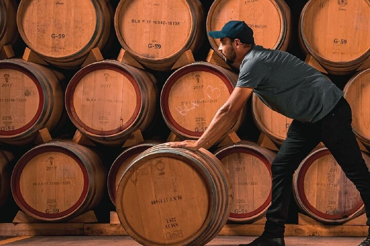 Full Day Private Guided Tour of Arandas Jalisco Distilleries - Photo 1 of 9