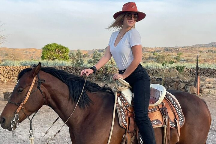 Private Full-Day Ruta del Tequila Tour: Safe & Expert-Guided - Photo 1 of 8