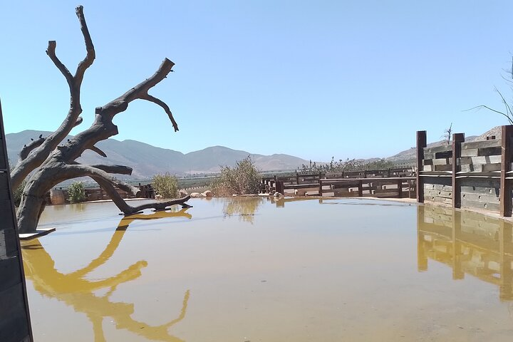 Tours and transport in Valle de Guadalupe - Photo 1 of 5