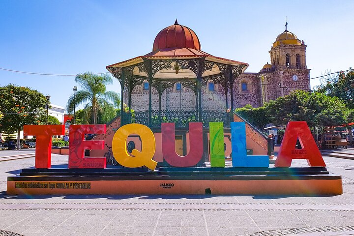 full day Tequila tour visiting artisanal distillery and downtown. - Photo 1 of 16