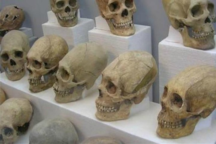 Full-day Tiwanaku, the enigmatic empire PRIVATE - Photo 1 of 5