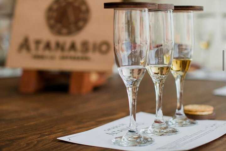 Full Day Tour Agavera Vip Experience - Photo 1 of 4