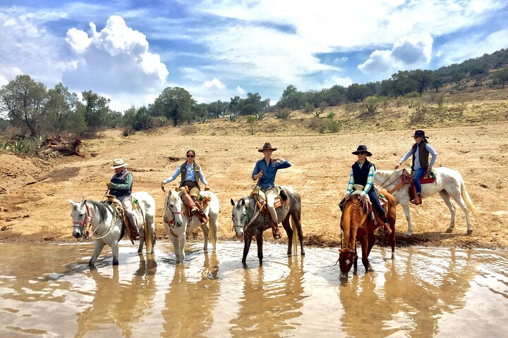 A quick stop to refresh our horses :)