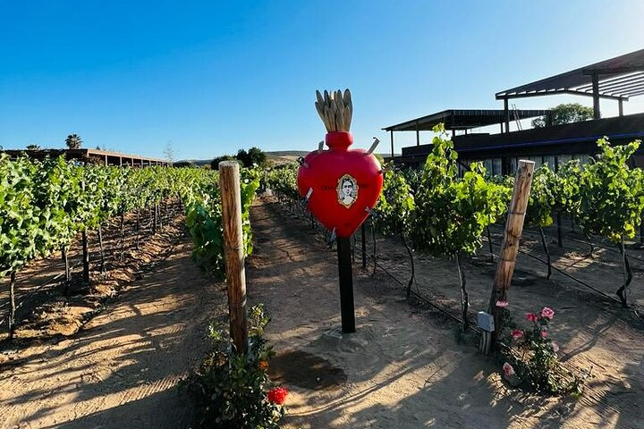 Full Day Tour on the Wine Route, Valle de Guadalupe - Photo 1 of 7