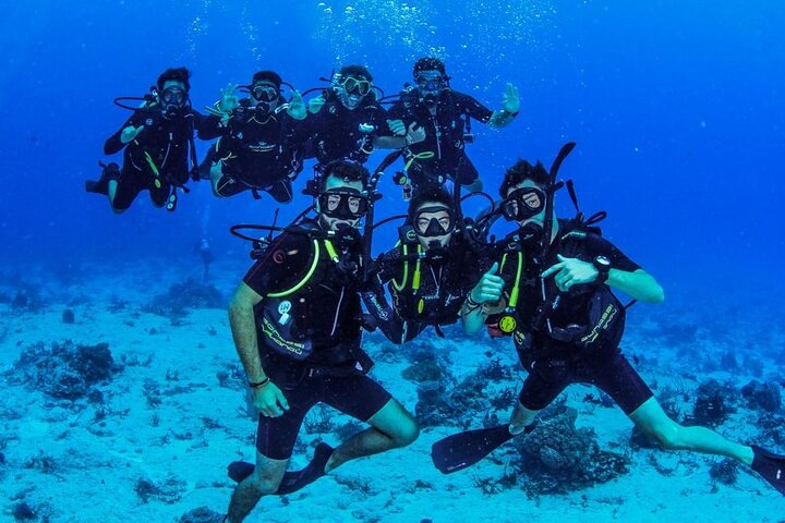 Fun dives Cozumel south marine park - Photo 1 of 11