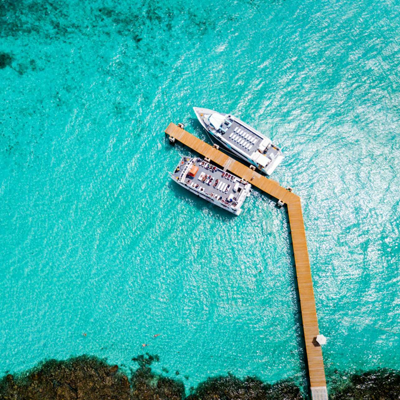 Garrafon Natural Reef Park: Fast Track Ticket - Photo 1 of 3