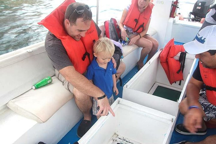 Fish viewing at our glass bottom boat