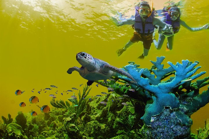 Great Saving: Sian Kaan Tour-expedition - Photo 1 of 8