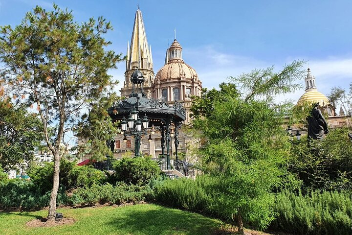 Trees at plaza de Armas