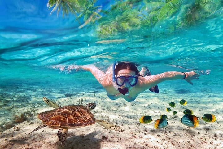Guided Visit to Puerto Morelos with Snorkeling Included - Photo 1 of 6