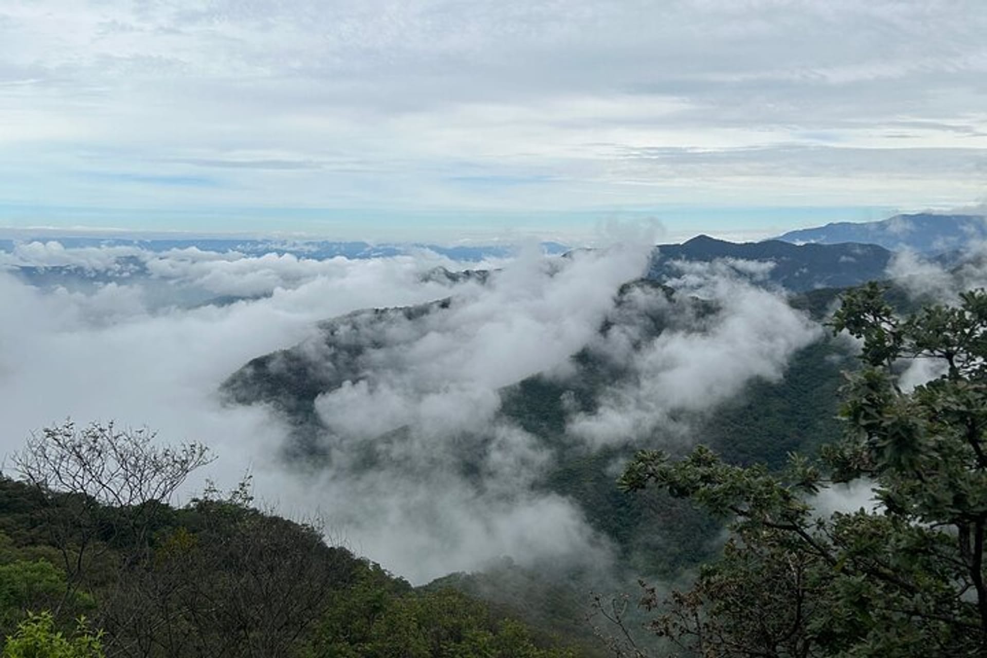 Hiking in the Sierra Norte of Oaxaca in Oaxaca City | Pelago