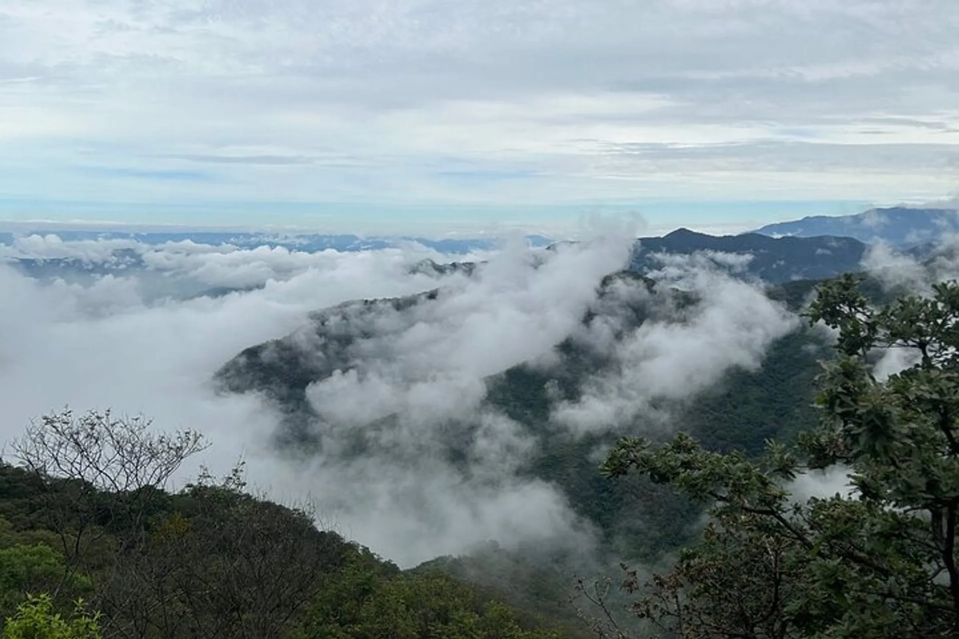 Hiking in the Sierra Norte of Oaxaca in Oaxaca City | Pelago