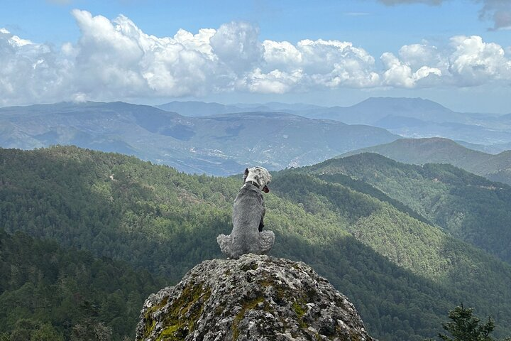 Hiking in the Sierra Norte of Oaxaca in Oaxaca City | Pelago
