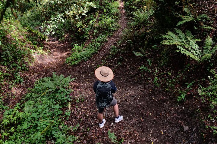 Hiking in the Sierra Norte of Oaxaca - Photo 1 of 25