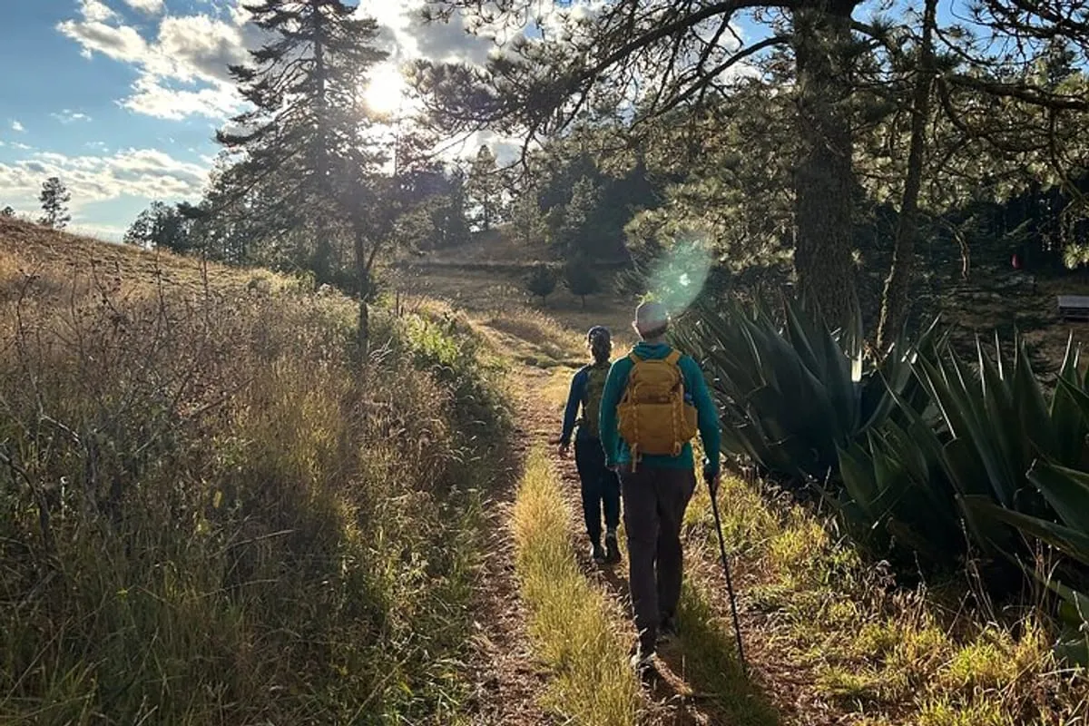 Hiking in the Sierra Norte of Oaxaca in Oaxaca City | Pelago