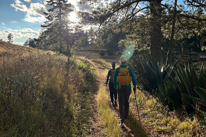 Hiking in the Sierra Norte of Oaxaca in Oaxaca City | Pelago