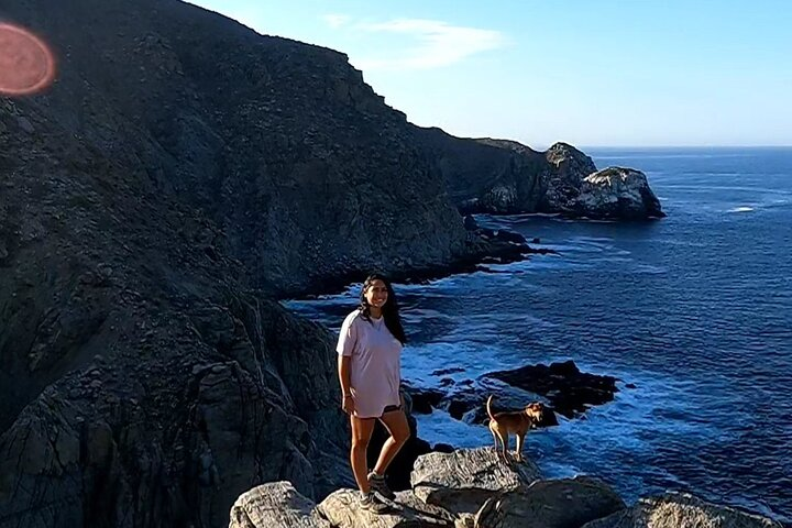 The Ultimate Camel Safari Experience in Los Cabos - Photo 1 of 5