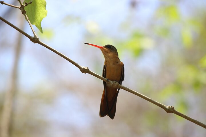 Hiking Adventure: River Trails & Waterfall Wonders - Photo 1 of 23