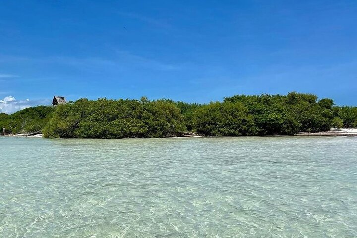 Holbox: Islas Pajaros, Yalahau & Isla de la Pasión with pick up - Photo 1 of 6