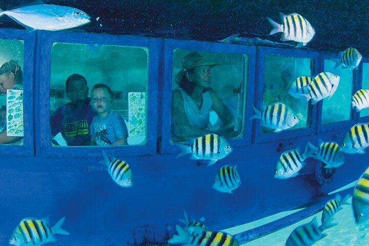 Hop-on Hop-off City Tour Cancun plus Submarine or Bodyboard Experience - Photo 1 of 25