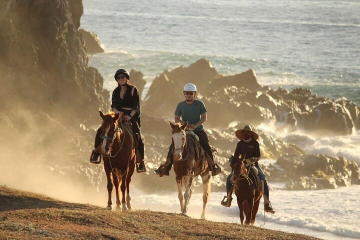 Horse Back Ridding Tour on the Pacific Ocean & Desert - Photo 1 of 6