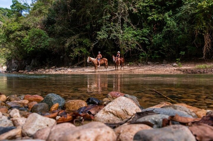 Horse Tour - Photo 1 of 6