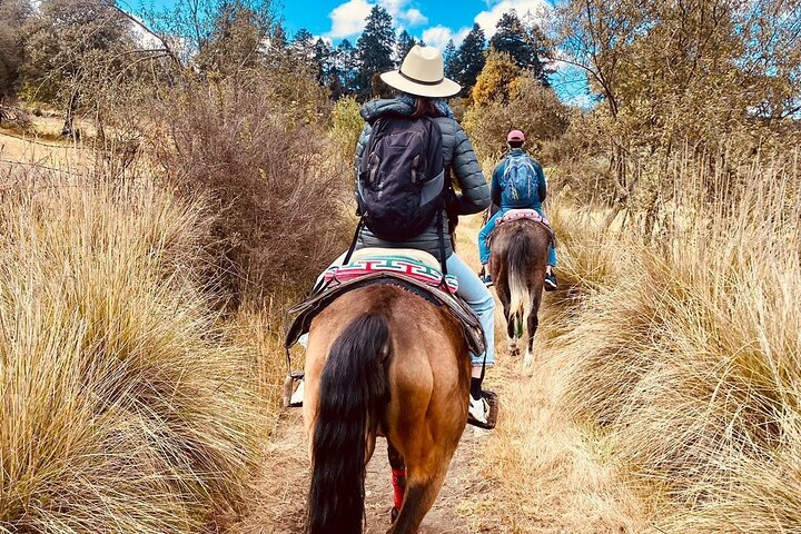 Horseback, Culture & Mexican Flavors Experience - Photo 1 of 19