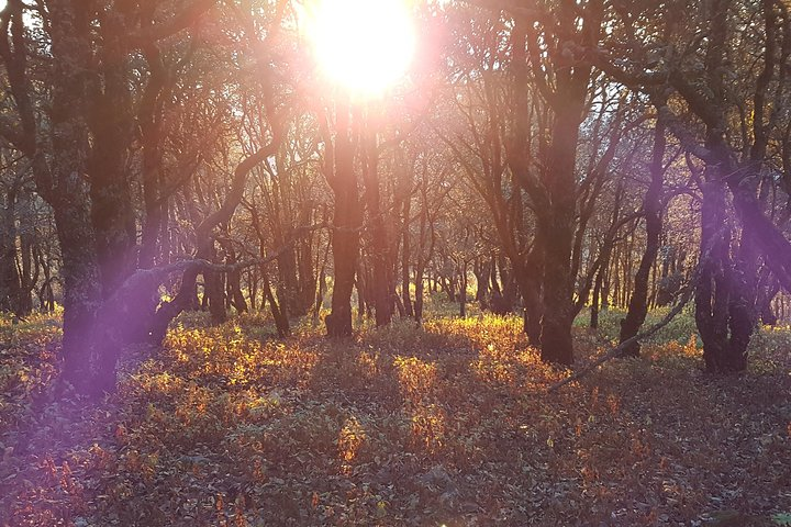 Horseback riding and camping in the mountains - Photo 1 of 15