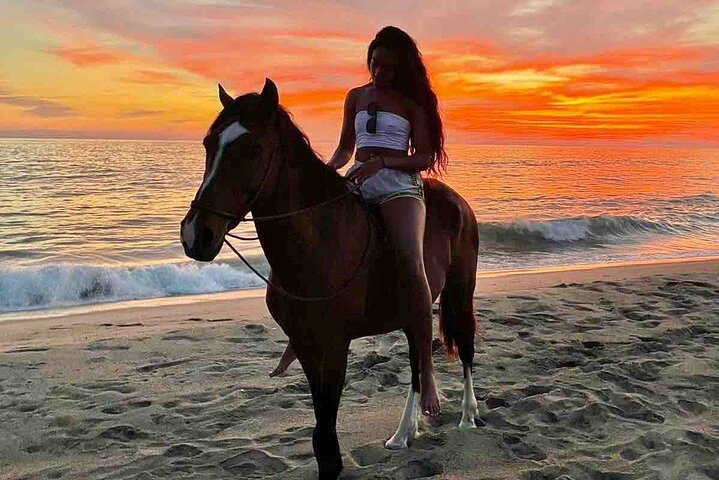 Horseback Riding on the Beaches of Holbox - Photo 1 of 12