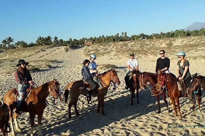 Horseback riding - Photo 1 of 6