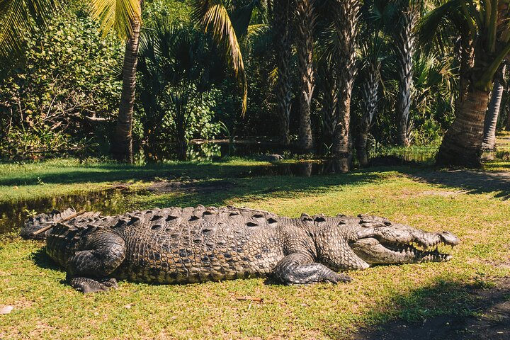 Wildlife Eco Tour on the coast of Oaxaca. - Photo 1 of 12
