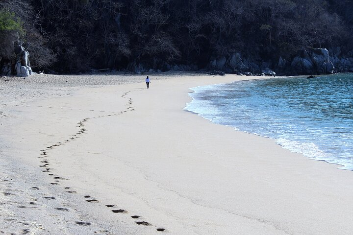 The Organo beach