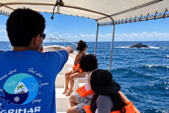 Private Humpback Whale Watching Tour in Punta Mita - Photo 1 of 8