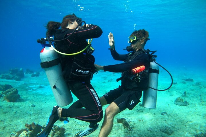 Introductory Diving Class in the Cozumel Reefs - Photo 1 of 6
