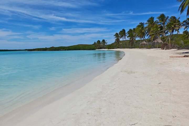 Island Contoy Adventour & Buffete & Isla Mujeres only from Cancun - Photo 1 of 25