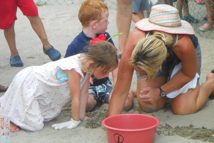 Baby Turtle Release