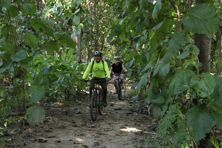Jungle Bike Tour - Photo 1 of 9