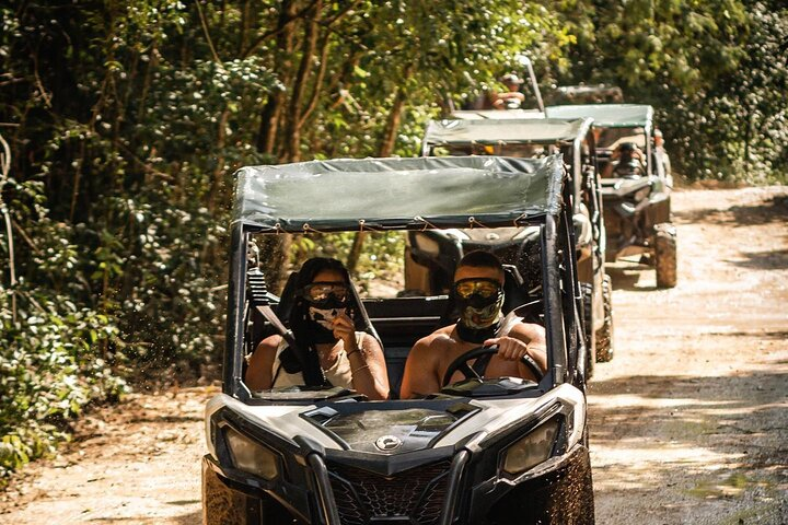 Jungle Buggy Day Tour - Photo 1 of 7