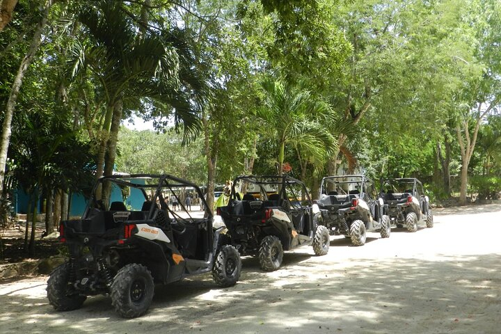 Take a Ride in your Buggie in Cozumel only from Tulum - Photo 1 of 24