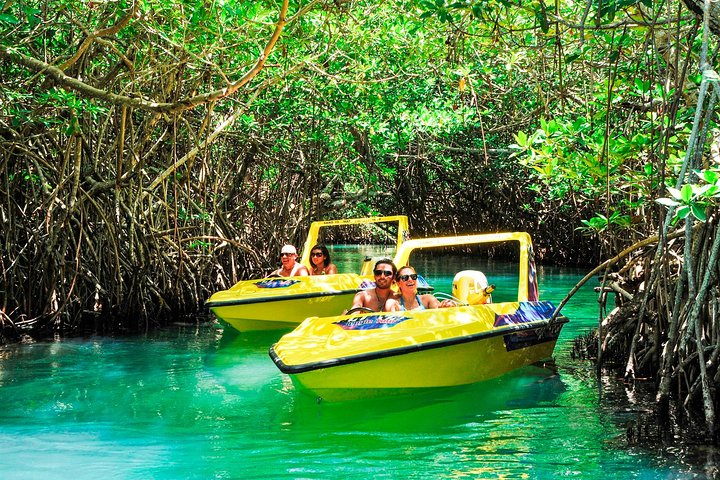 Discover why the Jungle Tour is the most famous activity in Cancun!