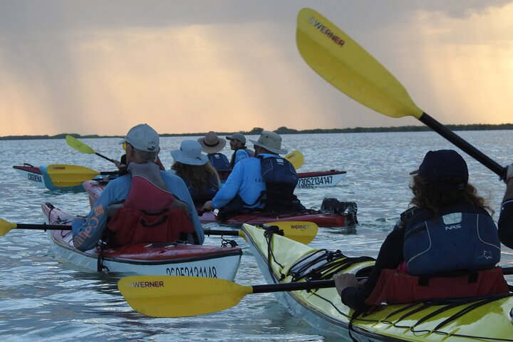 Sunrise Kayak Sian Ka’an Experience - Photo 1 of 25