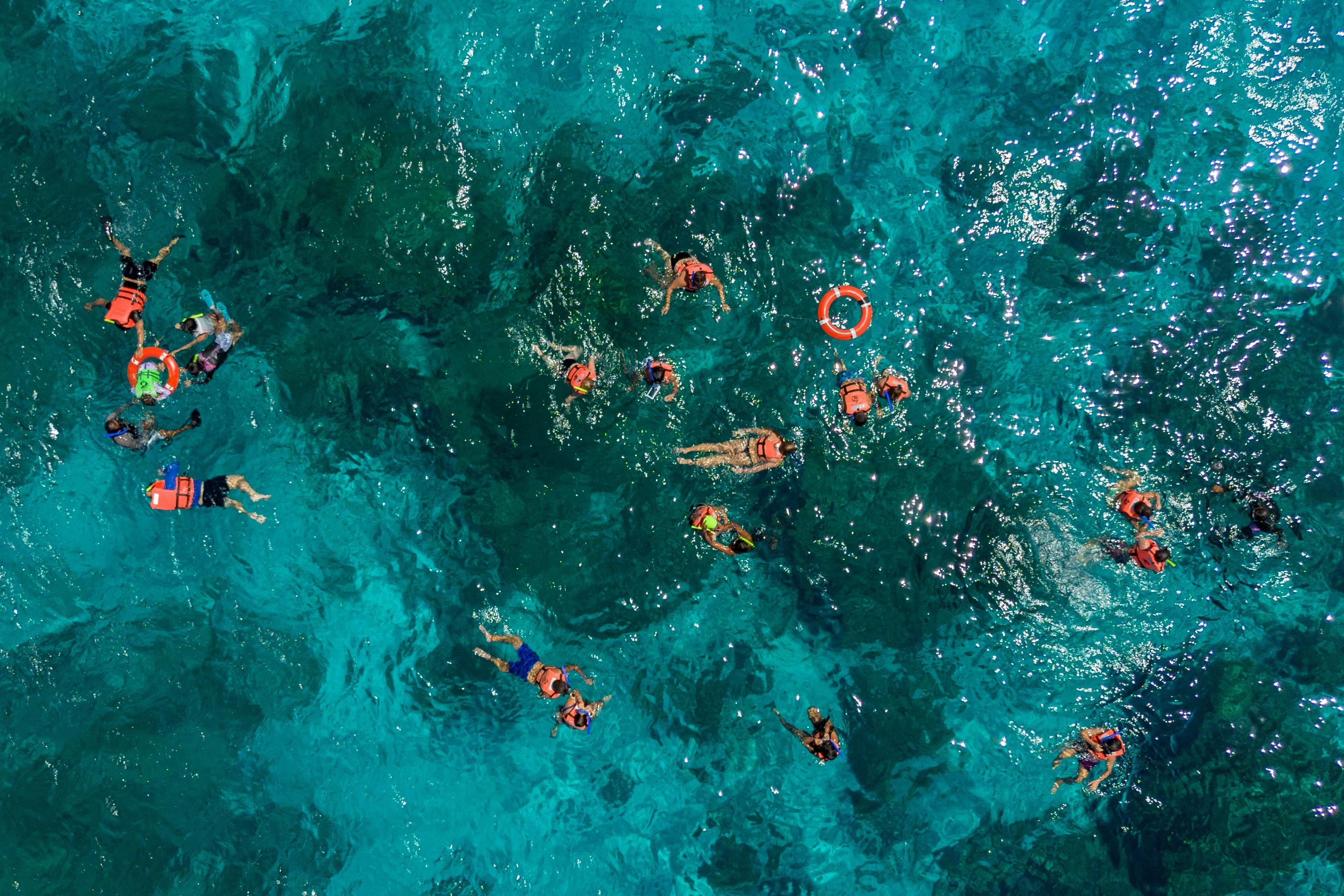 KUZÁ Beach & Adventure Park: Deluxe Pass + Guided Snorkeling + El Cielito Visit - Photo 1 of 3