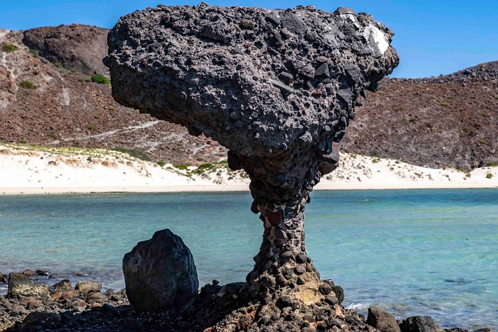 La Paz City Tour from Cabo - Photo 1 of 7