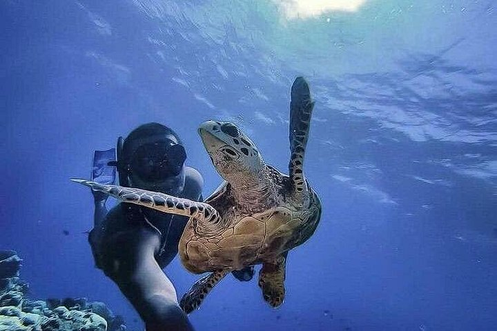 Tulum & Akumal with Sea Turtles + Las Coloradas 2-Day Tour - Photo 1 of 25