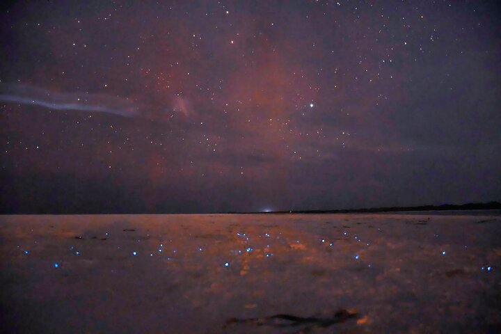 Magic Night of Stargazing and Bioluminescence - Photo 1 of 8